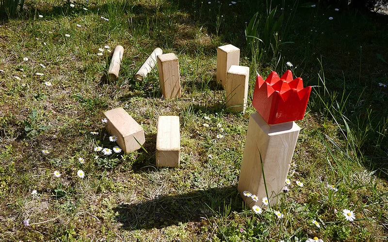 Kubbklötze aus Holz stehen und liegen auf einer Wiese.